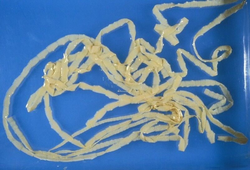 Biseksual odamlarning fotosuratlari